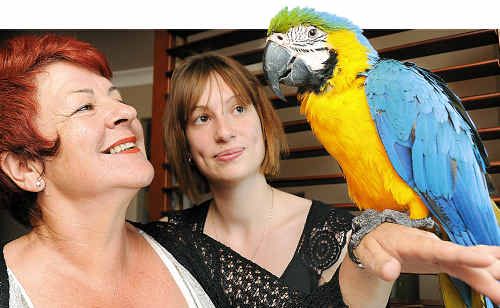 FEATHERED FRIEND: Raylene Williams with her macaw Coco and Bec Kuhl who brought her down from the tree. FEATHERED FRIEND: Raylene Williams with her macaw Coco and Bec Kuhl who brought her down from the tree.
